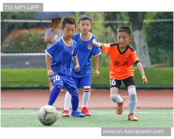 贵州足球崛起之路探索地方足球发展与职业联赛的融合之道